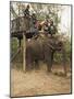 Japanese Tourists Board the Elephant That Will Take Them on Safari-Don Smith-Mounted Photographic Print