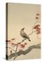 Japanese Waxwing on Maple, 1900-1936-Ohara Koson-Stretched Canvas