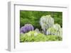 Japanese Wisteria, Kennett Square, Pennsylvania, USA-Lisa S. Engelbrecht-Framed Photographic Print