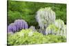 Japanese Wisteria, Kennett Square, Pennsylvania, USA-Lisa S. Engelbrecht-Stretched Canvas