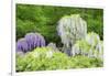 Japanese Wisteria, Kennett Square, Pennsylvania, USA-Lisa S. Engelbrecht-Framed Photographic Print