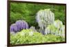 Japanese Wisteria, Kennett Square, Pennsylvania, USA-Lisa S. Engelbrecht-Framed Photographic Print