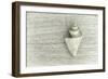 Japanese Wonder Shell-Cora Niele-Framed Photographic Print