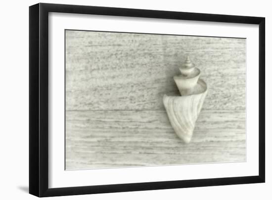 Japanese Wonder Shell-Cora Niele-Framed Photographic Print