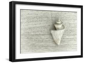 Japanese Wonder Shell-Cora Niele-Framed Photographic Print