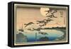 Japanese Woodblock, Flying Geese-null-Framed Stretched Canvas