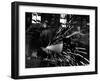 Japanese Worker Cutting Steel Pipe W. Huge Power Saw at Yawata Steel Mill-Margaret Bourke-White-Framed Photographic Print