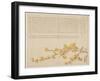 Japanese Yellow Rose, or Yamabuki, C.1818-29-Kid? Kageyasu-Framed Giclee Print