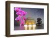 Japanese Zen Garden-filmfoto-Framed Photographic Print