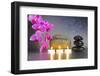 Japanese Zen Garden-filmfoto-Framed Photographic Print