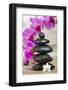 Japanese Zen Garden-filmfoto-Framed Photographic Print