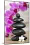 Japanese Zen Garden-filmfoto-Mounted Photographic Print