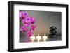 Japanese Zen Garden-filmfoto-Framed Photographic Print