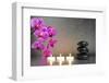 Japanese Zen Garden-filmfoto-Framed Photographic Print