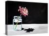 Jar & Flower-Cindy Thornton-Stretched Canvas