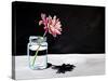 Jar & Flower-Cindy Thornton-Stretched Canvas