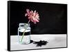Jar & Flower-Cindy Thornton-Framed Stretched Canvas