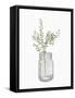 Jar Herbs 1-Kimberly Allen-Framed Stretched Canvas