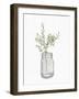 Jar Herbs 1-Kimberly Allen-Framed Art Print