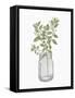 Jar Herbs 2-Kimberly Allen-Framed Stretched Canvas