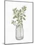 Jar Herbs 2-Kimberly Allen-Mounted Art Print