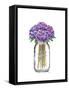 Jar Hydrangea-Amanda Greenwood-Framed Stretched Canvas