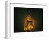 Jar of Dreams-Fabio Panichi-Framed Photographic Print