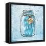 Jar Of Fab-Marcus Prime-Framed Stretched Canvas