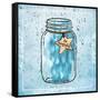 Jar Of Fab-Marcus Prime-Framed Stretched Canvas