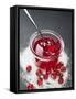Jar of Redcurrant Jelly with Spoon, Sugar and Redcurrants-null-Framed Stretched Canvas