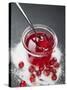 Jar of Redcurrant Jelly with Spoon, Sugar and Redcurrants-null-Stretched Canvas