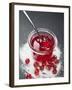 Jar of Redcurrant Jelly with Spoon, Sugar and Redcurrants-null-Framed Photographic Print