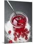 Jar of Redcurrant Jelly with Spoon, Sugar and Redcurrants-null-Mounted Photographic Print