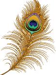 Peacock Feather-jara3000-Art Print