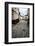 Jarandilla De La Vera, Caceres, Extremadura, Spain, Europe-Michael Snell-Framed Photographic Print