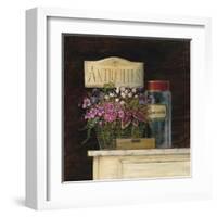 Jarden de Antiquites-Angela Staehling-Framed Art Print