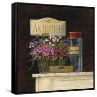 Jarden de Antiquites-Angela Staehling-Framed Stretched Canvas