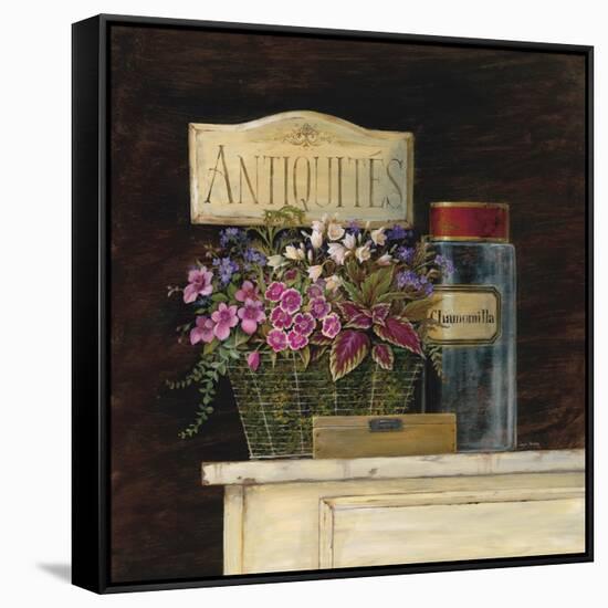 Jarden de Antiquites-Angela Staehling-Framed Stretched Canvas