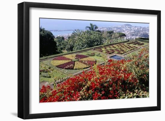 Jardim Botanico (Botanical Gardens), Funchal, Madeira, Portugal, Atlantic-Jenny Pate-Framed Photographic Print