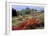 Jardim Botanico (Botanical Gardens), Funchal, Madeira, Portugal, Atlantic-Jenny Pate-Framed Photographic Print