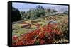 Jardim Botanico (Botanical Gardens), Funchal, Madeira, Portugal, Atlantic-Jenny Pate-Framed Stretched Canvas