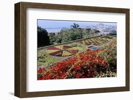 Jardim Botanico (Botanical Gardens), Funchal, Madeira, Portugal, Atlantic-Jenny Pate-Framed Photographic Print