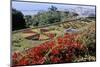 Jardim Botanico (Botanical Gardens), Funchal, Madeira, Portugal, Atlantic-Jenny Pate-Mounted Premium Photographic Print