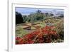 Jardim Botanico (Botanical Gardens), Funchal, Madeira, Portugal, Atlantic-Jenny Pate-Framed Photographic Print