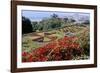 Jardim Botanico (Botanical Gardens), Funchal, Madeira, Portugal, Atlantic-Jenny Pate-Framed Photographic Print