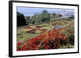 Jardim Botanico (Botanical Gardens), Funchal, Madeira, Portugal, Atlantic-Jenny Pate-Framed Photographic Print