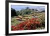 Jardim Botanico (Botanical Gardens), Funchal, Madeira, Portugal, Atlantic-Jenny Pate-Framed Photographic Print