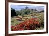 Jardim Botanico (Botanical Gardens), Funchal, Madeira, Portugal, Atlantic-Jenny Pate-Framed Photographic Print