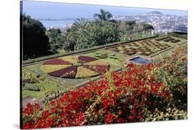 Jardim Botanico (Botanical Gardens), Funchal, Madeira, Portugal, Atlantic-Jenny Pate-Stretched Canvas