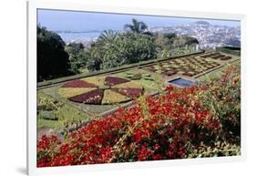 Jardim Botanico (Botanical Gardens), Funchal, Madeira, Portugal, Atlantic-Jenny Pate-Framed Photographic Print